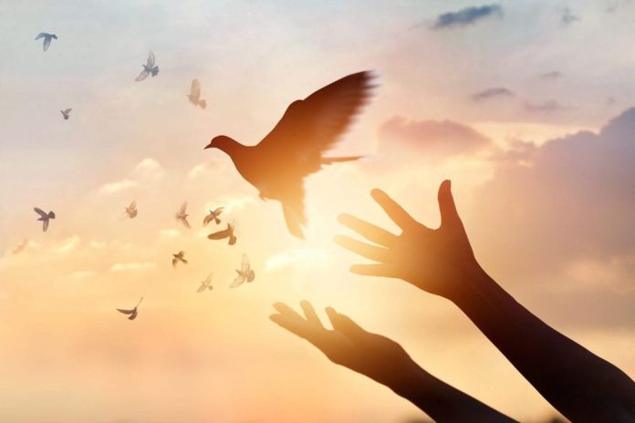 Finding Healing Inside and Out