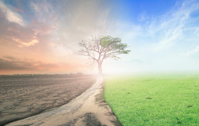 Why Getting a Psychic Reading will Change Your Life