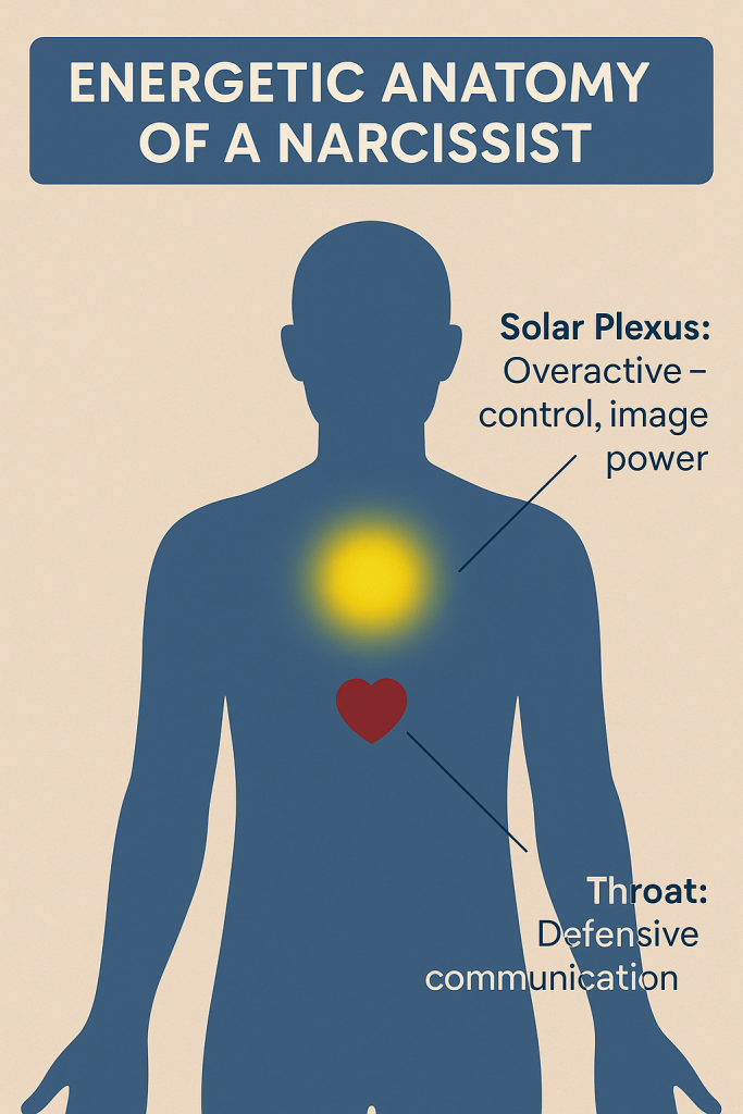 Energetic Anatomy of a Narcissist