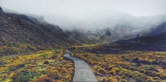 Past Life Regression Healing