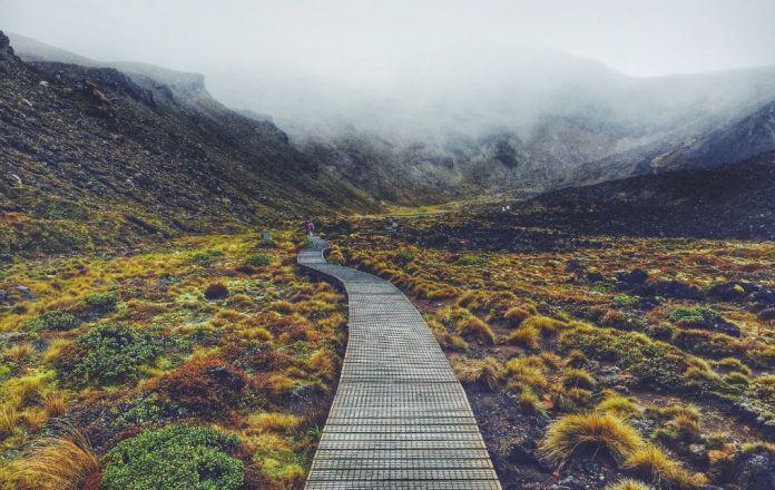 Past Life Regression Healing
