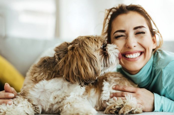 Pet Manifest as Your Loved One