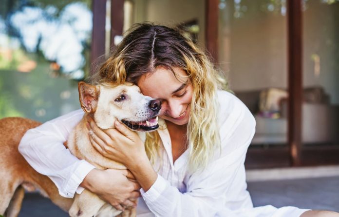 How Psychics Connect with Animals