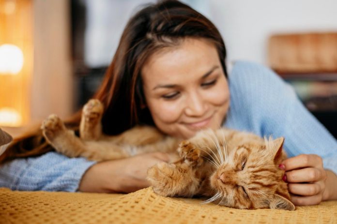 When You Connect with Your Pets