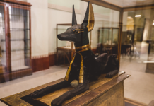 Afterlife of Dogs