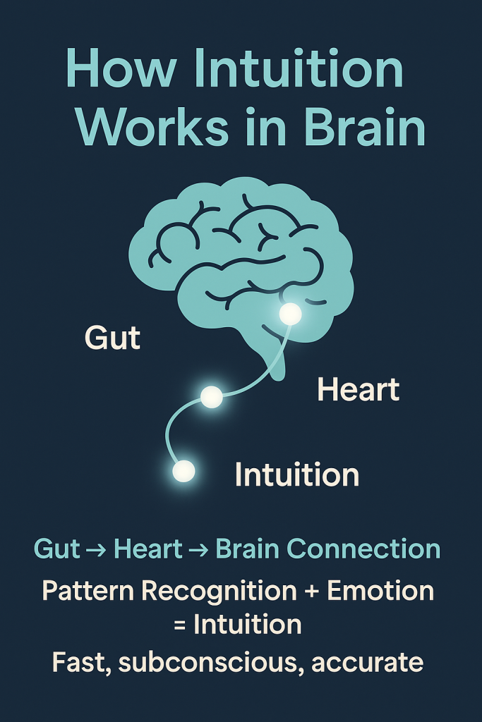How Intuition Works in the Brain