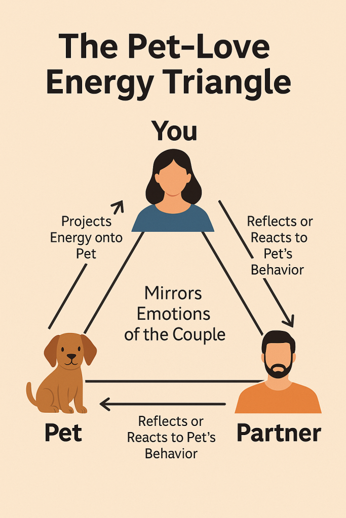 The Pet–Love Energy Triangle