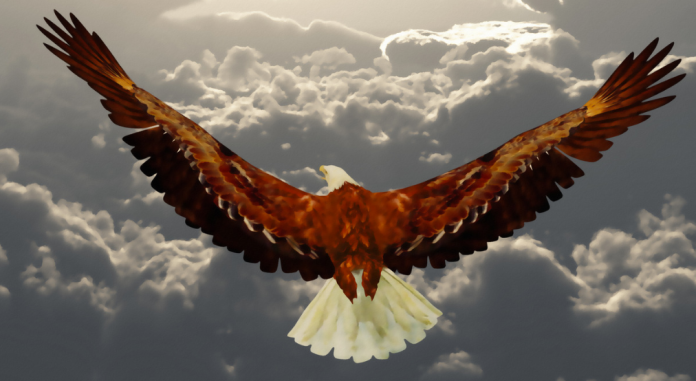 Eagles