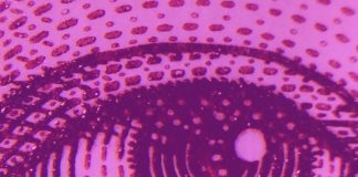 Purple Orb