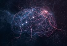The Neuroscience of Premonitions Are Psychic Senses Biological