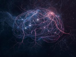 The Neuroscience of Premonitions Are Psychic Senses Biological