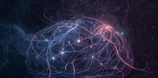 The Neuroscience of Premonitions Are Psychic Senses Biological