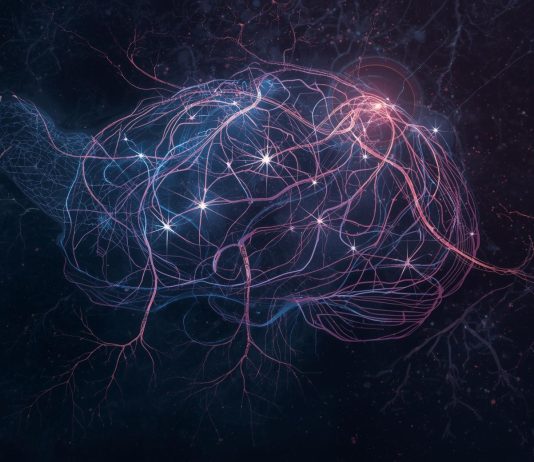 The Neuroscience of Premonitions Are Psychic Senses Biological